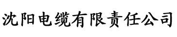 樱桃视频黄色电缆厂logo